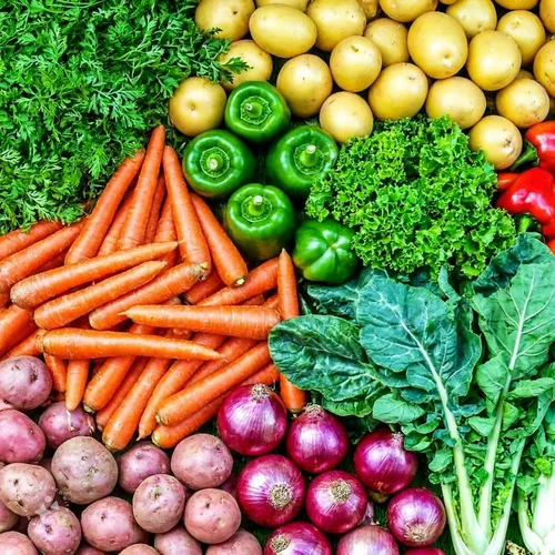 Fresh Vegetables