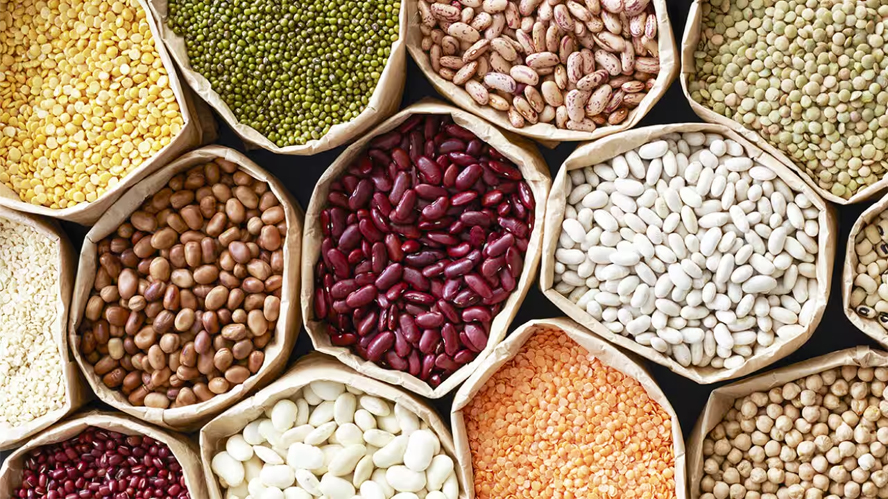 Pulses and Lentils