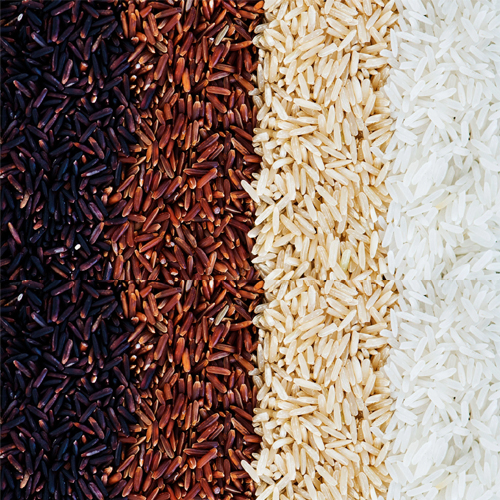 Rice Products